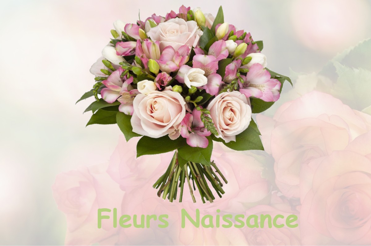 fleurs naissance MONTCORBON