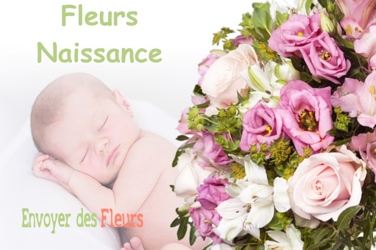 lIVRAISON FLEURS NAISSANCE à MONTCORBON